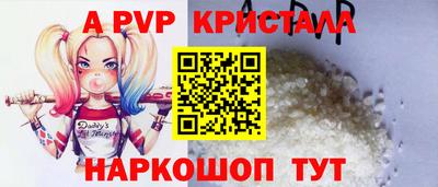 шишки Кингисепп