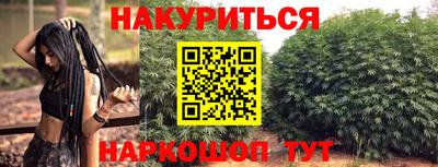 шишки Кингисепп