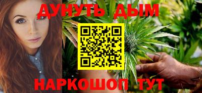 шишки Кингисепп