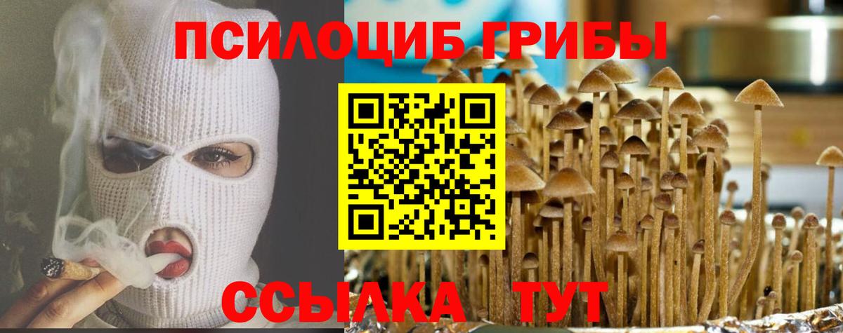 Псилоцибиновые грибы ЛСД Истра