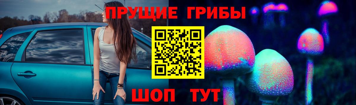 Псилоцибиновые грибы прущие грибы  Псилоцибиновые грибы Psilocybine cubensis  Вход с VPN  Истра 